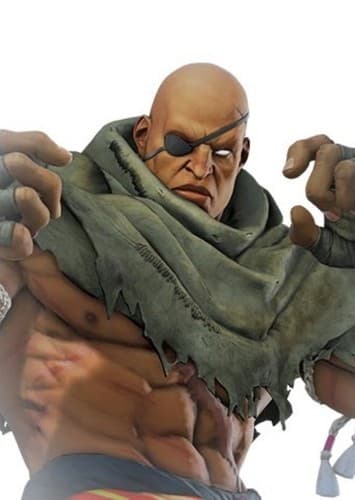 Sagat