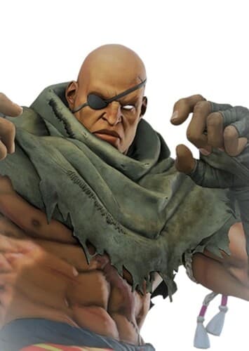Sagat