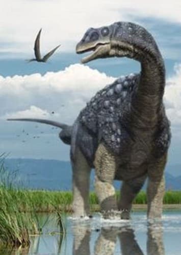 Saltasaurus