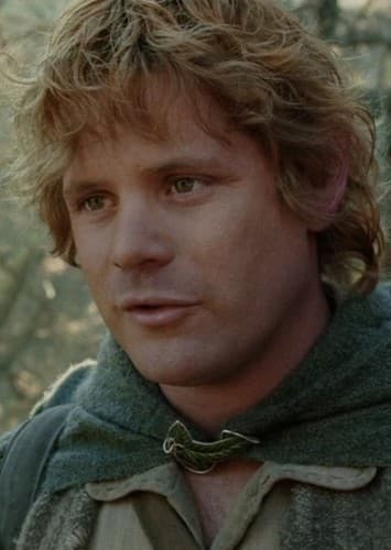 Samwise Gamgee