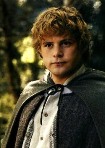Samwise
