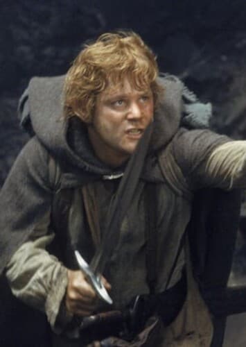 Samwise Gamgee