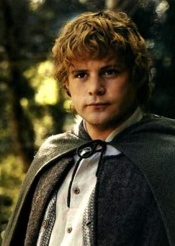 Samwise Gamgee