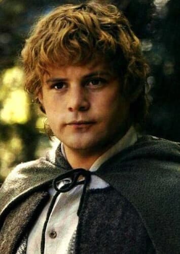 Samwise Gamgee