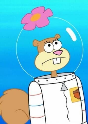 Sandy Cheeks