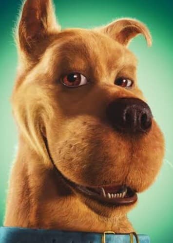 Scooby Doo