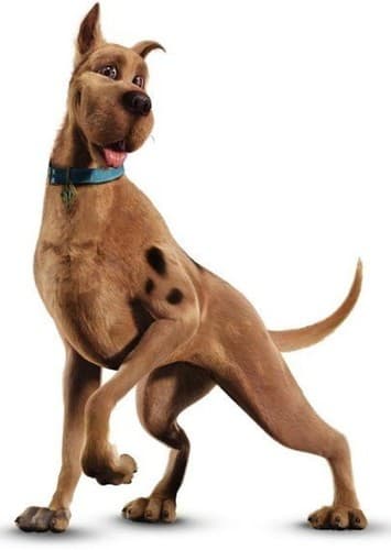 Scooby-Doo (Live Action)