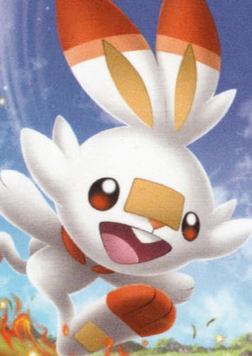Scorbunny / ヒバニー