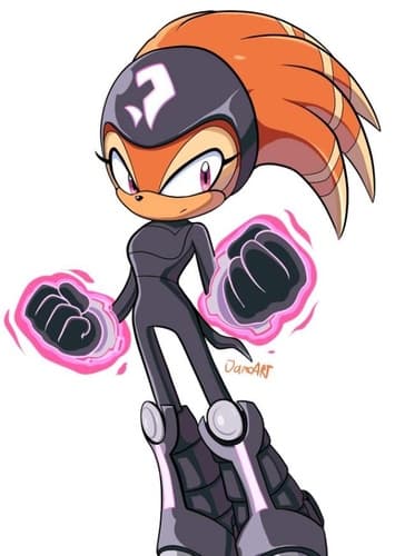 Shade the Echidna