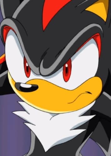 Shadow the Hedgehog