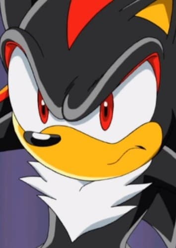 Shadow the Hedgehog
