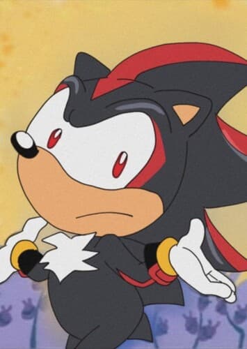 Shadow The Hedgehog