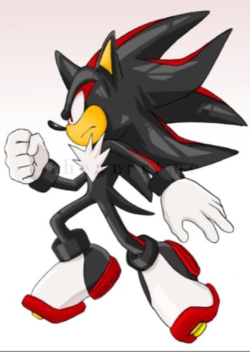 Shadow the Hedgehog