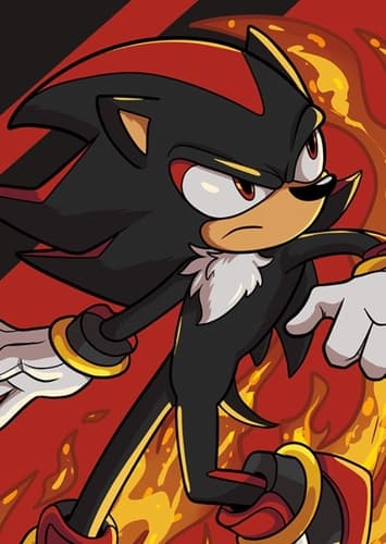 Shadow the Hedgehog