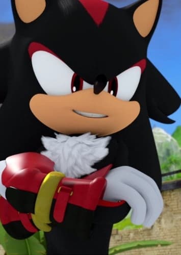 Shadow the Hedgehog