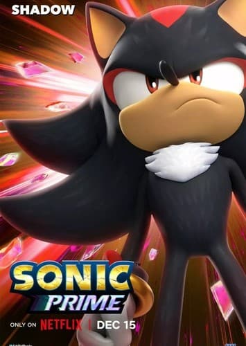 Shadow The Hedgehog