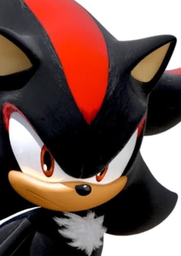 Shadow The Hedgehog