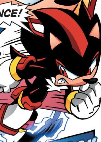 Shadow the Hedgehog
