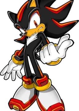 Shadow the Hedgehog