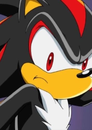 Shadow the Hedgehog