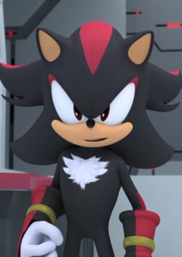Shadow the Hedgehog
