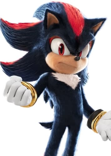 Shadow The Hedgehog