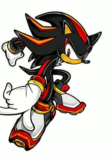 Shadow the Hedgehog