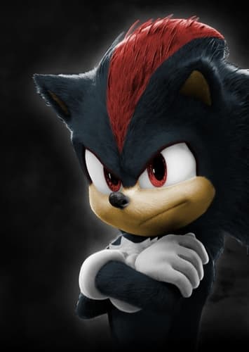 Shadow The Hedgehog