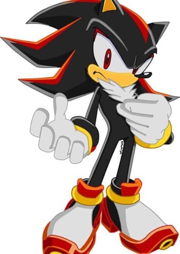 Shadow The Hedgehog