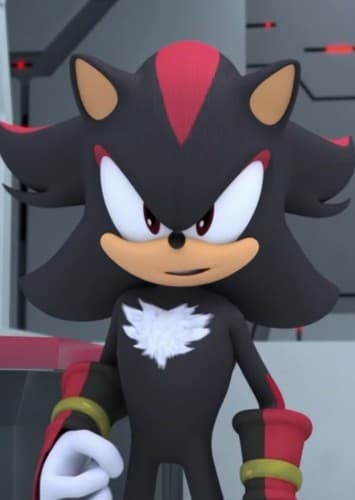 Shadow the Hedgehog