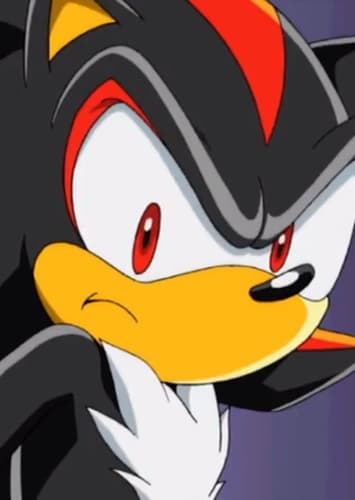 Shadow the Hedgehog