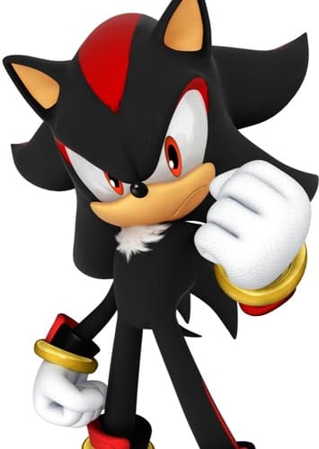 Shadow The Hedgehog