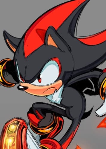 Shadow The Hedgehog