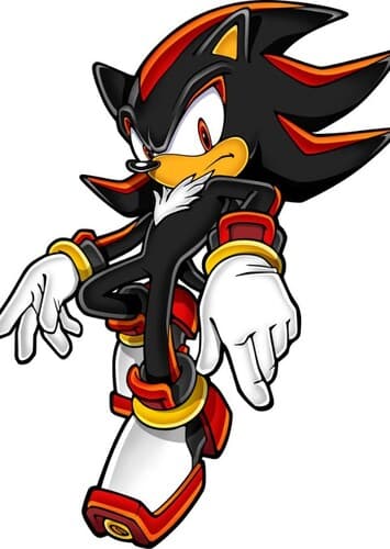 Shadow The Hedgehog