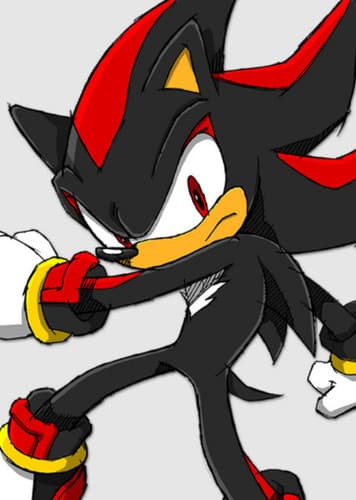 Shadow the Hedgehog