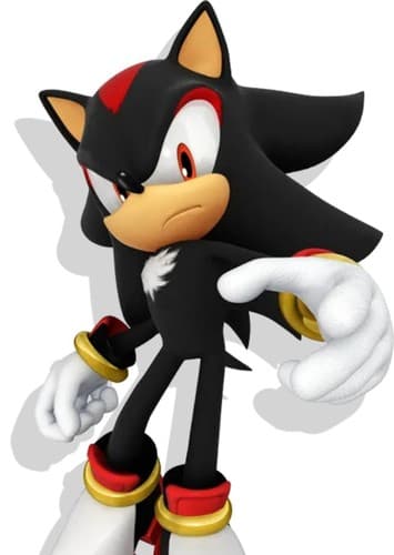 Shadow The Hedgehog
