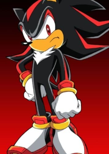 Shadow The Hedgehog