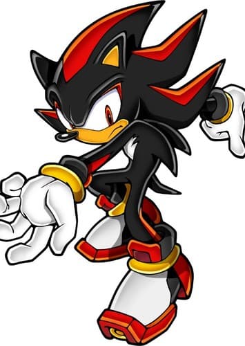 Shadow The Hedgehog