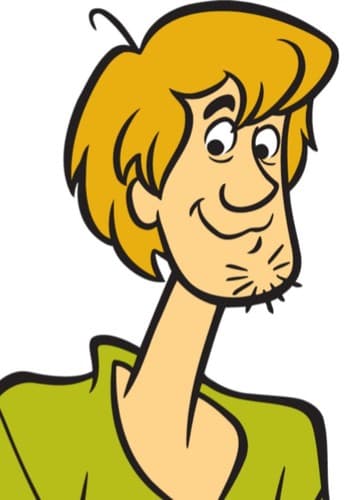 Shaggy