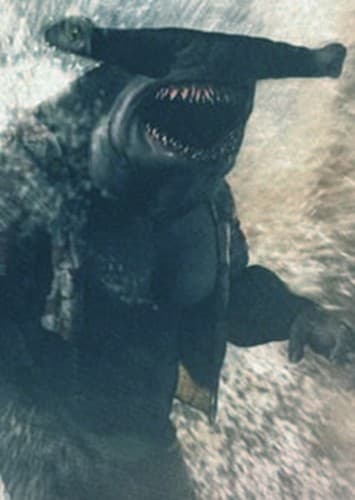 Shark (Hammerhead-style)