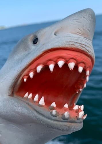 Shark Puppet