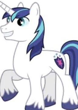Shining Armor