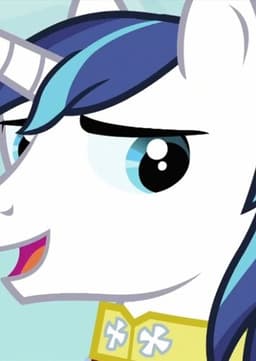 Shining Armor