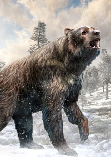Short-Faced Bear