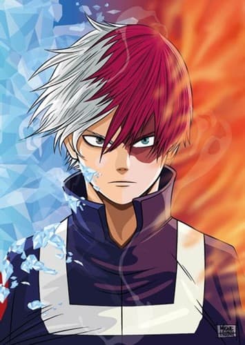 Shoto Todoroki