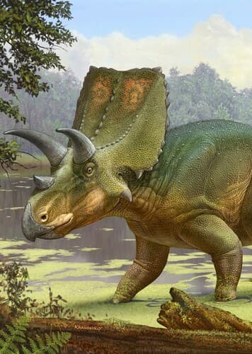 Sierraceratops