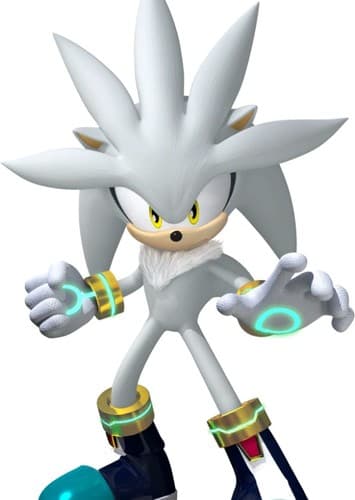 Silver The Hedgehog (Future)