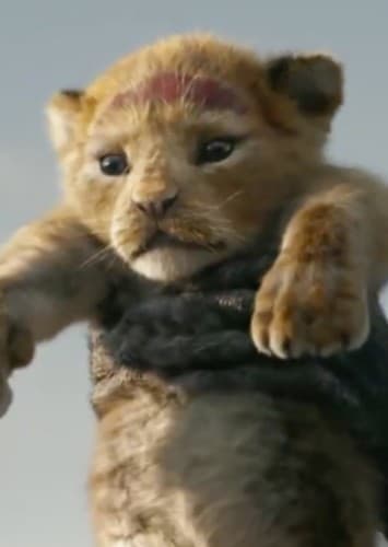 Simba (young)