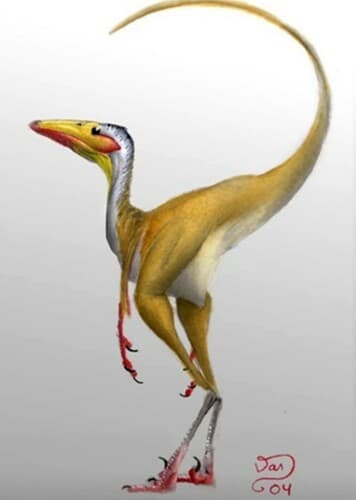 Sinornithoides