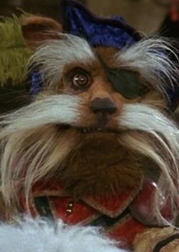 Sir Didymus